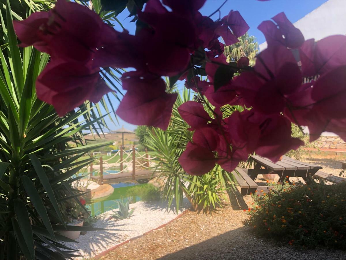 Finca Andalucia Conil De La Frontera Esterno foto