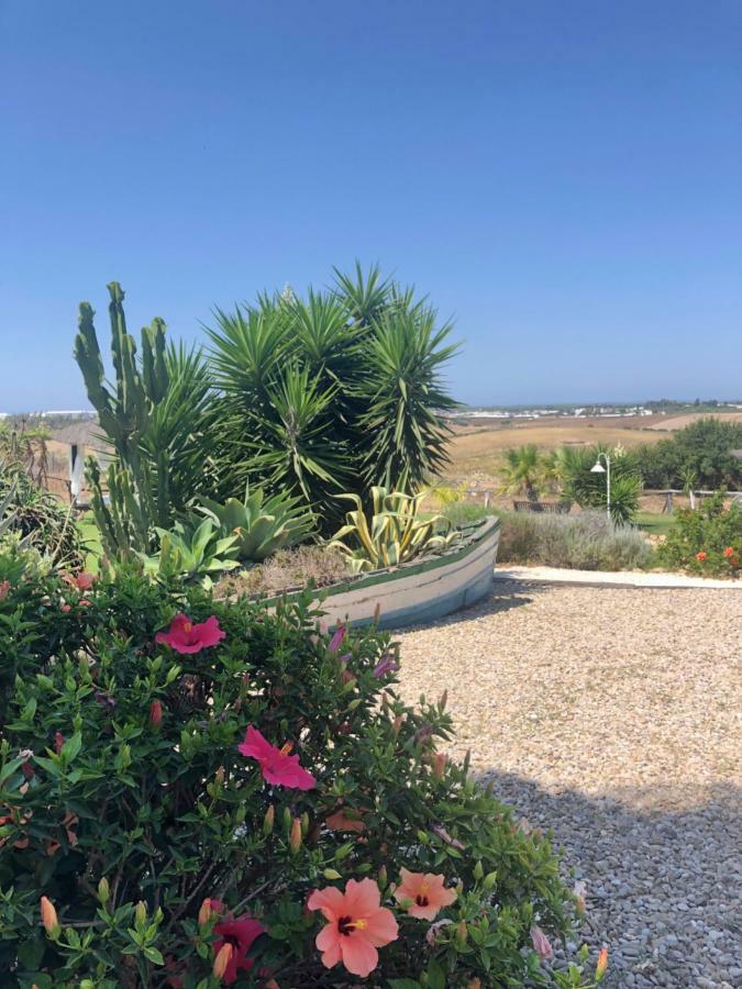 Finca Andalucia Conil De La Frontera Esterno foto